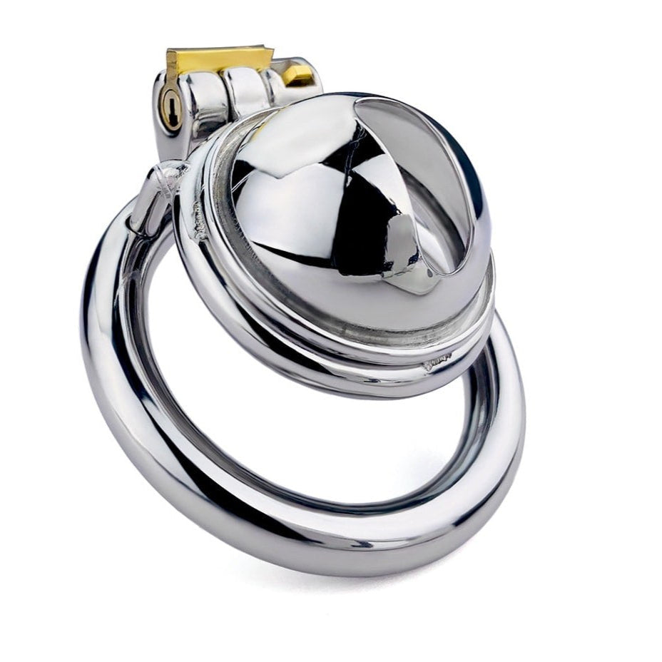 Inverted Metal Chastity Cage, Steel BDSM Denial Toy for Men - 50 Shades of Toys